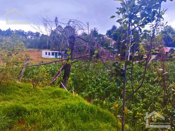 VENTA DE TERRENO EN MINERAL DEL CHICO CARBONERAS.