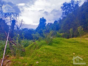 VENTA DE TERRENO EN MINERAL DEL CHICO CARBONERAS.