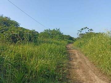 100 HECTAREAS CON PARTIDA SUNARP EN YURIMAGUAS
