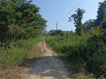 100 HECTAREAS CON PARTIDA SUNARP EN YURIMAGUAS