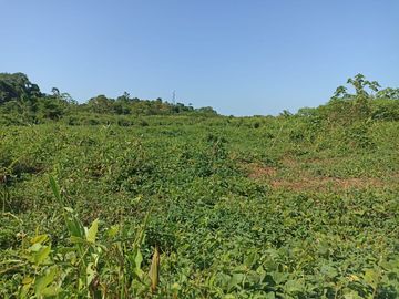 100 HECTAREAS CON PARTIDA SUNARP EN YURIMAGUAS