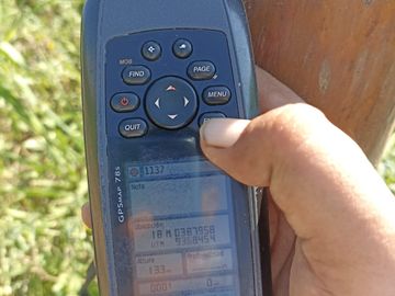 100 HECTAREAS CON PARTIDA SUNARP EN YURIMAGUAS