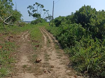 100 HECTAREAS CON PARTIDA SUNARP EN YURIMAGUAS