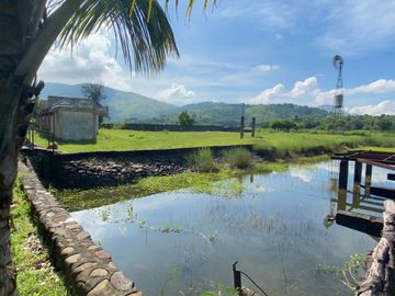 RUSH SALE! 3 hectare Farm property with houses, villas, recreational activities for sale in Zambales