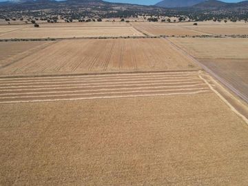 Terreno Ejidal de 1.6 Hectáreas en Venta en Apan, Hidalgo.
