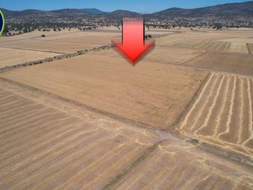 Terreno Ejidal de 1.6 Hectáreas en Venta en Apan, Hidalgo.
