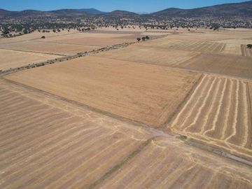 Terreno Ejidal de 1.6 Hectáreas en Venta en Apan, Hidalgo.