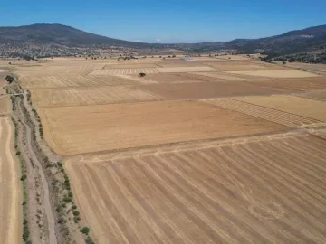Terreno Ejidal de 1.6 Hectáreas en Venta en Apan, Hidalgo.