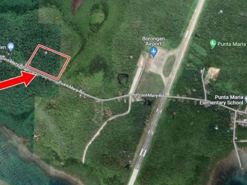 Borongan Airport Ideal Commercial Lot