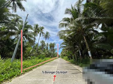 Borongan Airport Ideal Commercial Lot