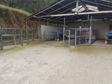 hacienda lechera ganadera de venta sector vía a soldados a 12 minutos de Cuenca