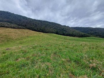 hacienda lechera ganadera de venta sector vía a soldados a 12 minutos de Cuenca