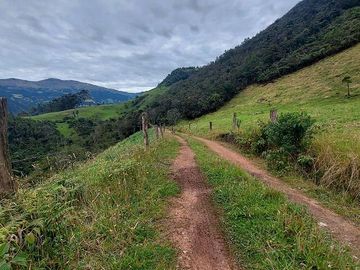 hacienda lechera ganadera de venta sector vía a soldados a 12 minutos de Cuenca