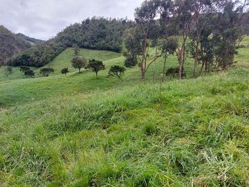 hacienda lechera ganadera de venta sector vía a soldados a 12 minutos de Cuenca