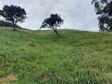 hacienda lechera ganadera de venta sector vía a soldados a 12 minutos de Cuenca