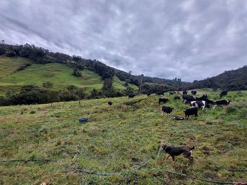 hacienda lechera ganadera de venta sector vía a soldados a 12 minutos de Cuenca