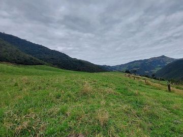 hacienda lechera ganadera de venta sector vía a soldados a 12 minutos de Cuenca