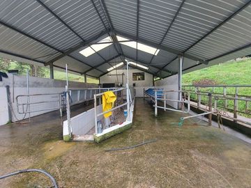 hacienda lechera ganadera de venta sector vía a soldados a 12 minutos de Cuenca