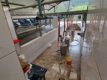 hacienda lechera ganadera de venta sector vía a soldados a 12 minutos de Cuenca