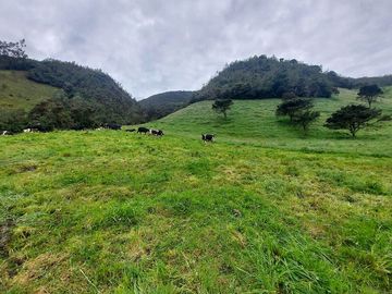 hacienda lechera ganadera de venta sector vía a soldados a 12 minutos de Cuenca