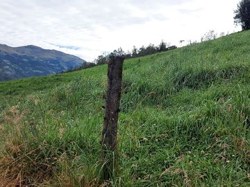 hacienda lechera ganadera de venta sector vía a soldados a 12 minutos de Cuenca