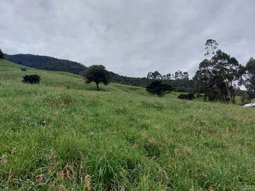 hacienda lechera ganadera de venta sector vía a soldados a 12 minutos de Cuenca