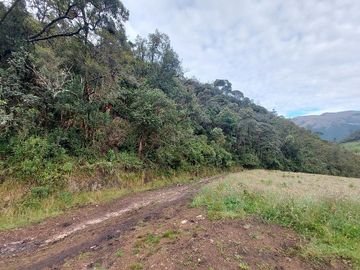 hacienda lechera ganadera de venta sector vía a soldados a 12 minutos de Cuenca