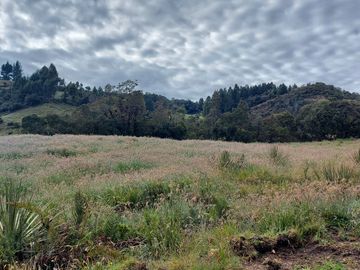 hacienda lechera ganadera de venta sector vía a soldados a 12 minutos de Cuenca