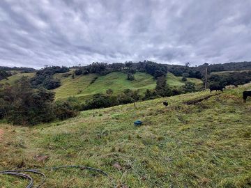 hacienda lechera ganadera de venta sector vía a soldados a 12 minutos de Cuenca