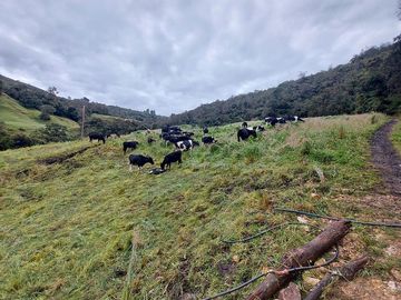 hacienda lechera ganadera de venta sector vía a soldados a 12 minutos de Cuenca