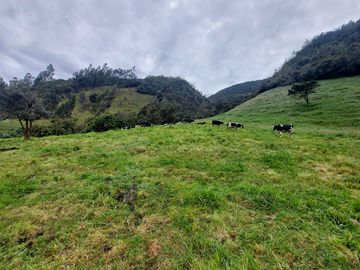 hacienda lechera ganadera de venta sector vía a soldados a 12 minutos de Cuenca