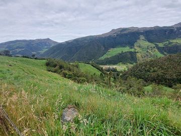 hacienda lechera ganadera de venta sector vía a soldados a 12 minutos de Cuenca