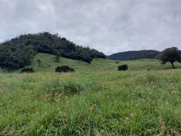 hacienda lechera ganadera de venta sector vía a soldados a 12 minutos de Cuenca