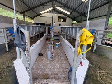 hacienda lechera ganadera de venta sector vía a soldados a 12 minutos de Cuenca