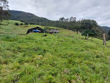 hacienda lechera ganadera de venta sector vía a soldados a 12 minutos de Cuenca