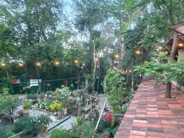 CASA EN RENTA EN SANTIAGO EL CERCADO N.L.