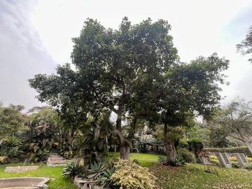 Venta Casa de Campo Urb. Los Cóndores Chaclacayo 15,185 m2