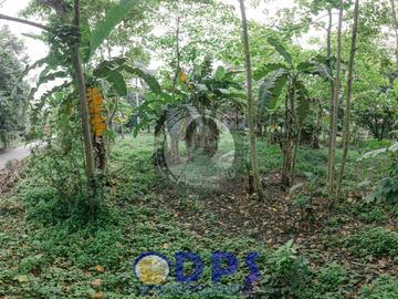 Commercial Lot Property for Sale in Koronadal South Cotabato