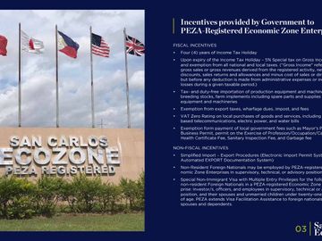 Industrial Lot within Ecozone in San Carlos City, Negros Occidental