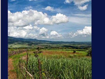 Industrial Lot within Ecozone in San Carlos City, Negros Occidental