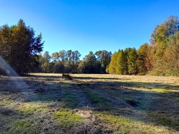 Villarrica - Venta de parcelas en Verde - Paga el saldo hasta en 24 cuotas