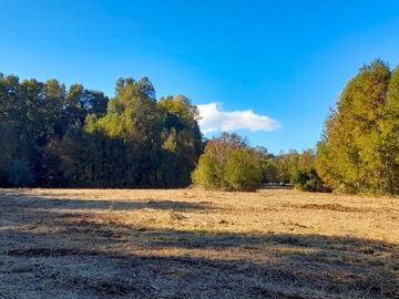 Villarrica - Venta de parcelas en Verde - Paga el saldo hasta en 24 cuotas