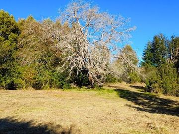 Villarrica - Venta de parcelas en Verde - Paga el saldo hasta en 24 cuotas