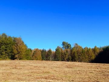 Villarrica - Venta de parcelas en Verde - Paga el saldo hasta en 24 cuotas
