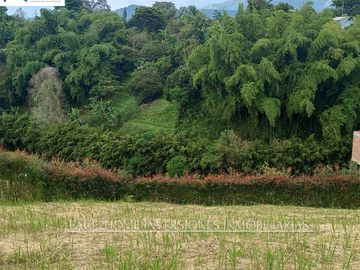 EN VENTA FINCA EN PASTO SANTA ROSA DE CABAL SECTOR VIA EL ESPAÑOL EXCELENTE TOPOGRAFÍA