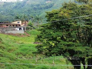 EN VENTA FINCA EN PASTO SANTA ROSA DE CABAL SECTOR VIA EL ESPAÑOL EXCELENTE TOPOGRAFÍA