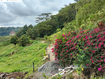 EN VENTA FINCA EN PASTO SANTA ROSA DE CABAL SECTOR VIA EL ESPAÑOL EXCELENTE TOPOGRAFÍA