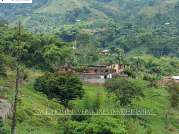 EN VENTA FINCA EN PASTO SANTA ROSA DE CABAL SECTOR VIA EL ESPAÑOL EXCELENTE TOPOGRAFÍA