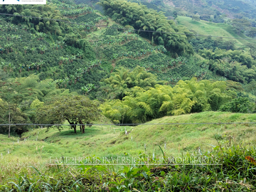 EN VENTA FINCA EN PASTO SANTA ROSA DE CABAL SECTOR VIA EL ESPAÑOL EXCELENTE TOPOGRAFÍA