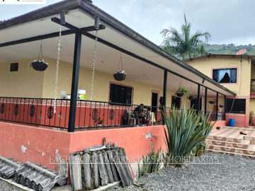 EN VENTA FINCA EN PASTO SANTA ROSA DE CABAL SECTOR VIA EL ESPAÑOL EXCELENTE TOPOGRAFÍA